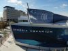 Georgia Aquarium ridurrà l’impronta delle emissioni con Greener Life® For Business della Georgia Natural Gas