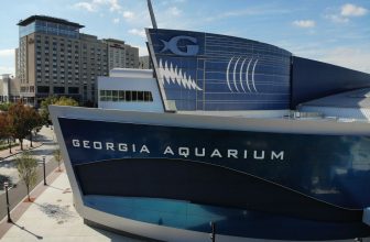 Georgia Aquarium ridurrà l’impronta delle emissioni con Greener Life® For Business della Georgia Natural Gas